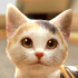 With My CAT