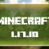Minecraft 1.17.10