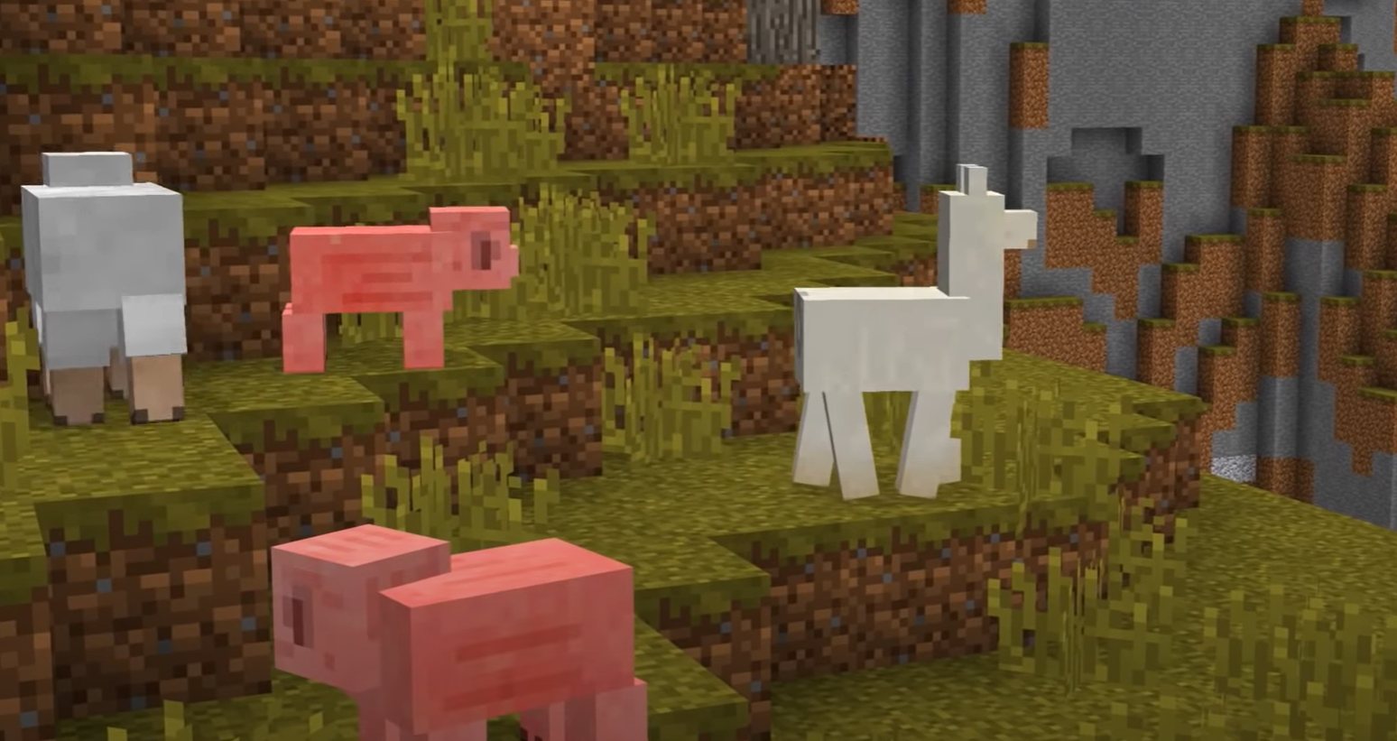 1.20 में Minecraft में एक लामा को कैसे वश में करें