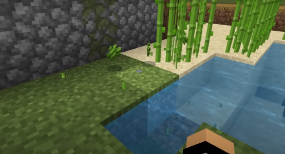 Minecraft PE 1.19.80.23 Beta