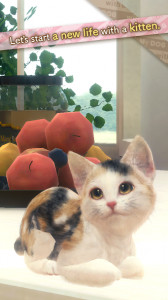 With My CAT
