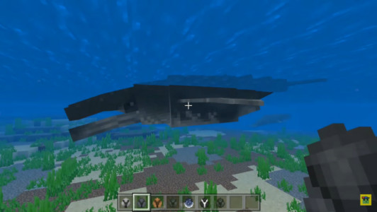 50'den fazla yeni hayvan