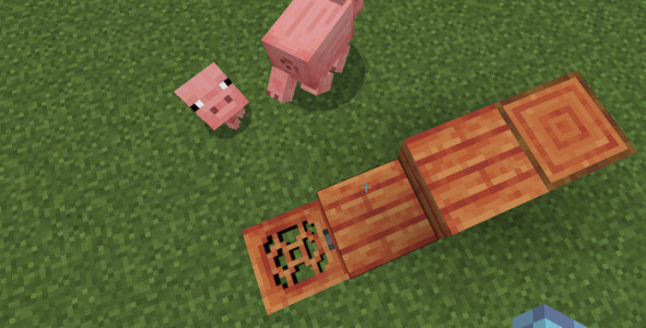 Yeni sebze ve meyve türleri