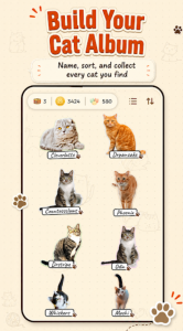 CatchCat