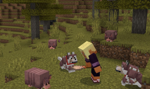 Minecraft (MOD - Menüsü)