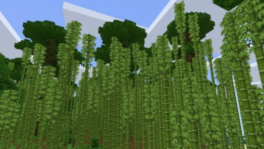 Minecraft 1.12.1.1