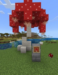 Magic'in Çiçek Ormanı