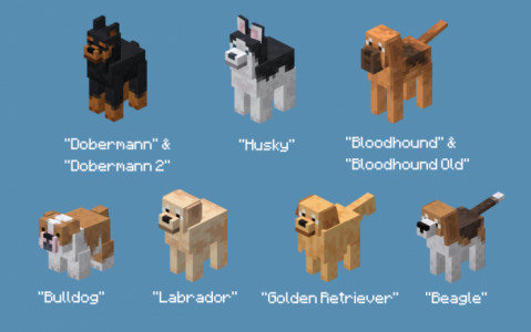 Kurtlar yerine köpekler