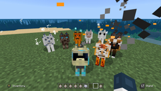 Kurtların Bakımını Tamamlayın