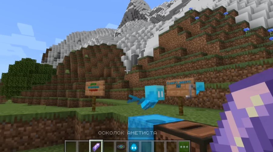 Download Minecraft PE 1.19.10.24 apk free: Wild Update