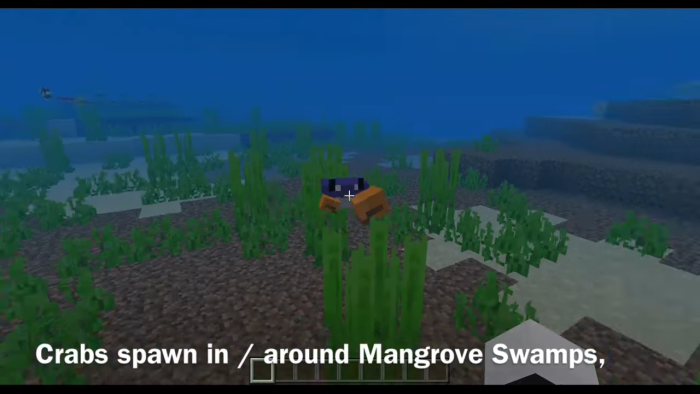 MINECRAFT MOB VOTE 2023 - CARANGUEIJO - TATU - PINGUIM (MINECRAFT LIVE) 