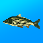 True Fishing (MOD - Çok para)
