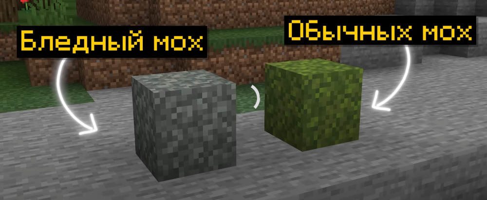 A batalha dos musgos: minha louca experiência com musgo comum e pálido no Minecraft!