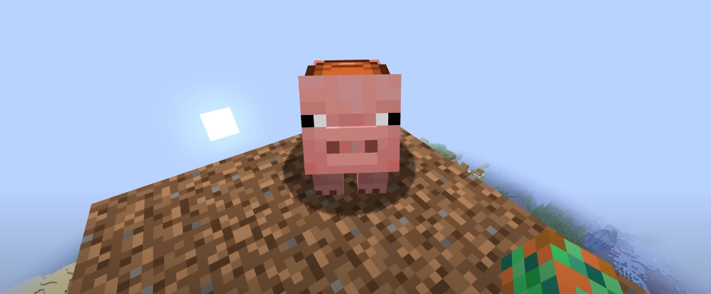 When Levitation failed: how I crashed with a pig in Minecraft