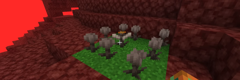 Œilflor vs autres dimensions dans Minecraft