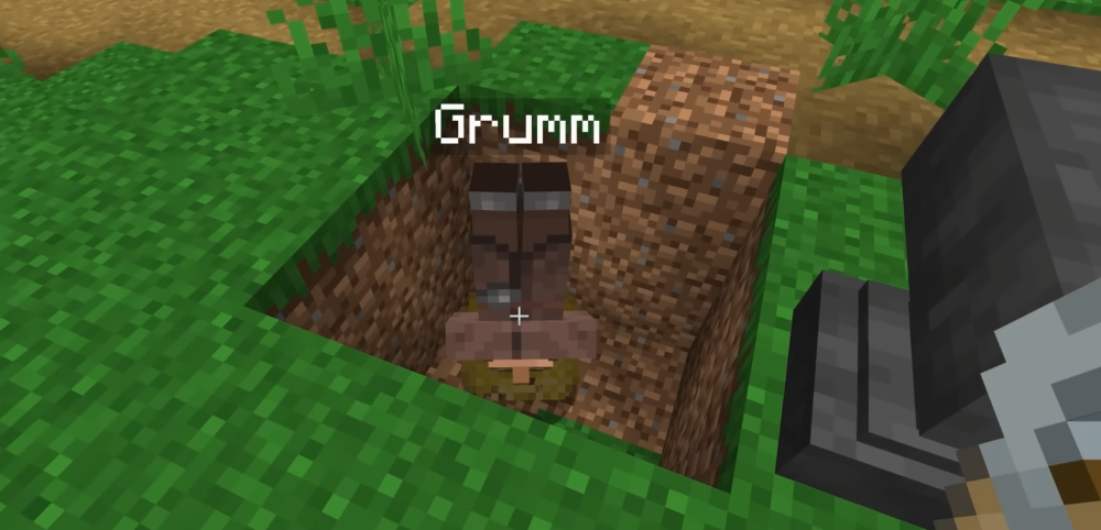 Do Minecraft name easter eggs work when a mob’s entity changes?