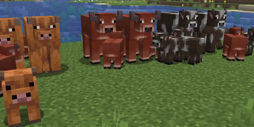 Análise detalhada do Snapshot 2