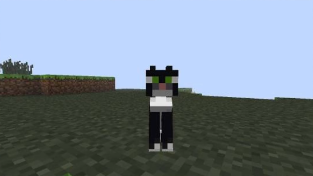 El gato blanco y negro en Minecraft: Una emotiva historia de la mascota de los desarrolladores